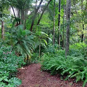 Holiday home Rainforest Retreat-fireplace-bbq-3 Acres-