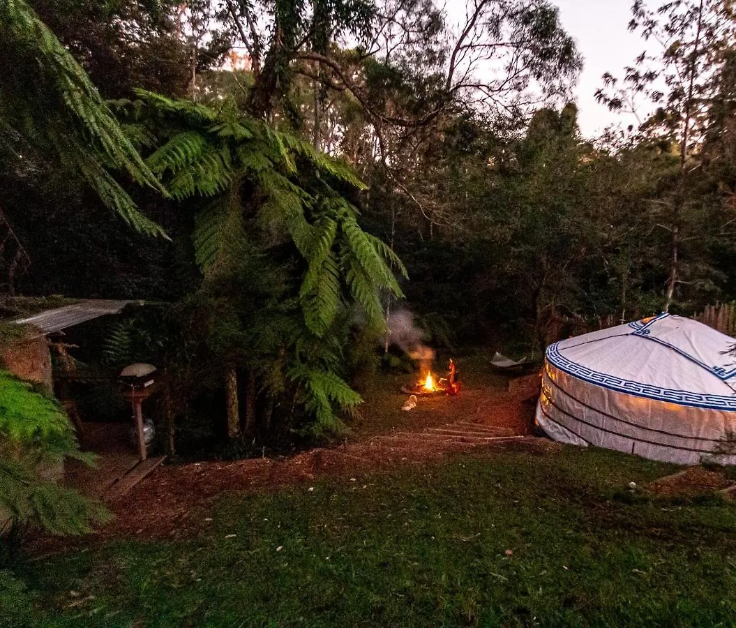 Purling Brook Falls Gwongorella Springbrook Luxe tent