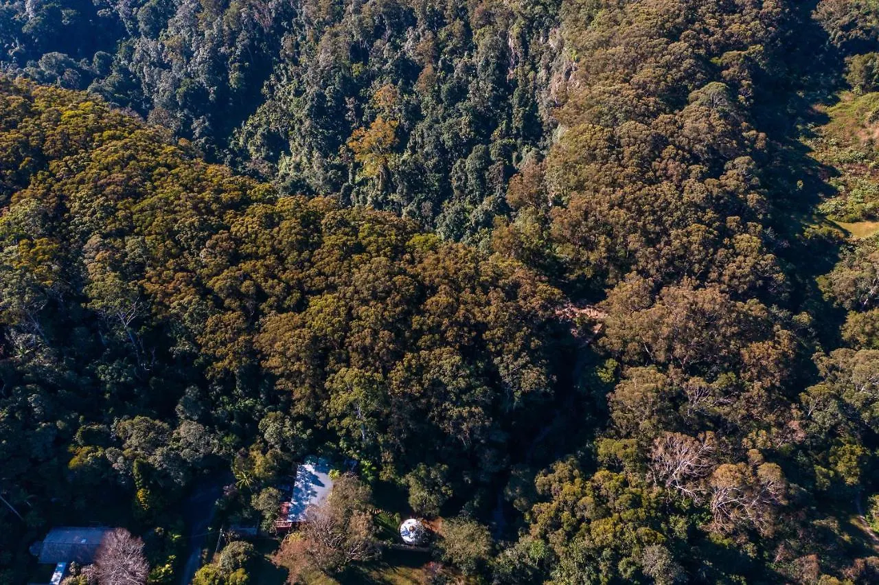 Luxe tent Purling Brook Falls Gwongorella Springbrook