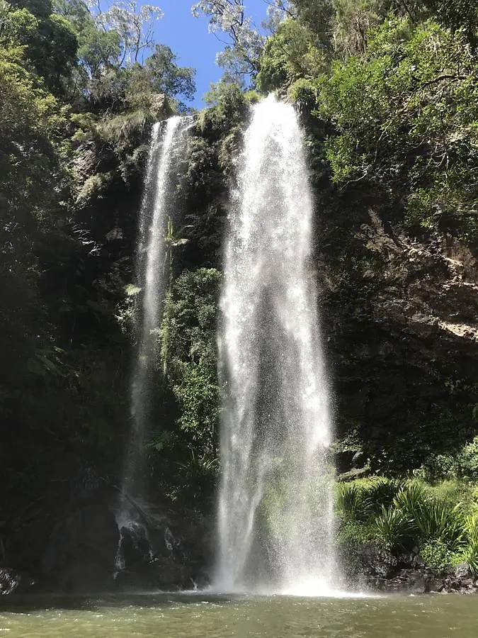 Purling Brook Falls Gwongorella Springbrook Australië
