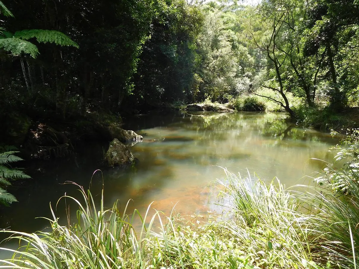 Luxe tent Purling Brook Falls Gwongorella Springbrook
