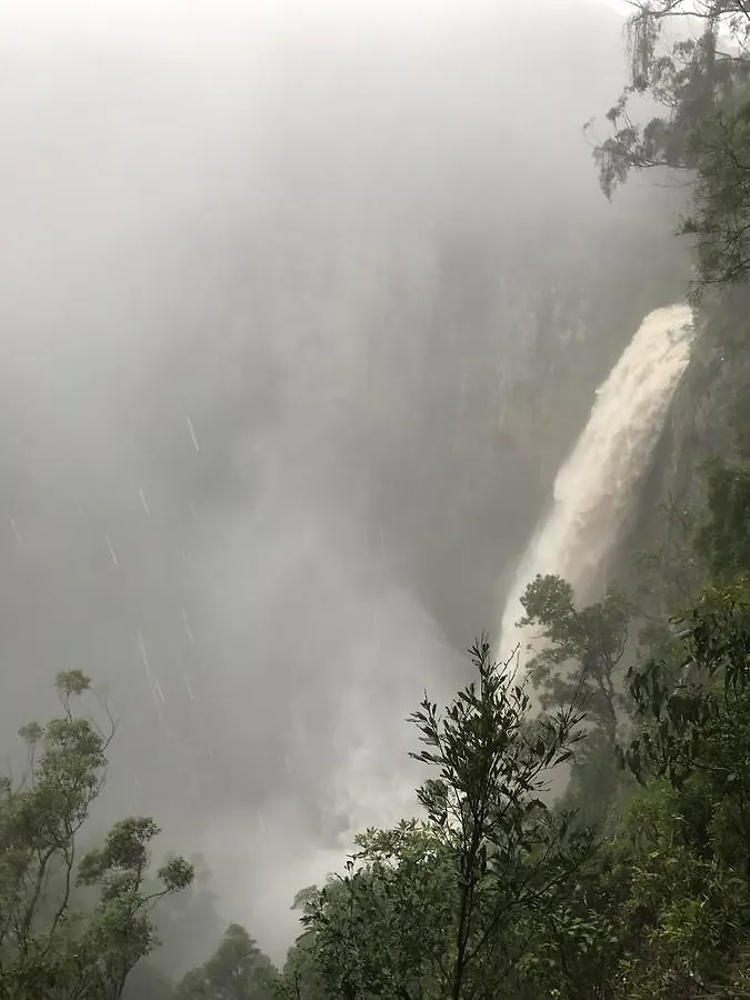 Purling Brook Falls Gwongorella Springbrook
